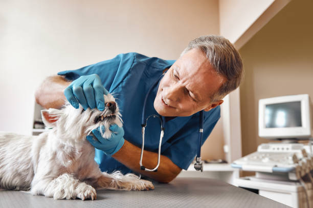Best Emergency Tooth Extraction in Ransom Canyon, TX